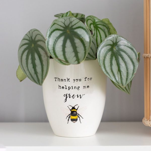 White ceramic plant pot with a bee illustration and black text 'Thank you for helping me grow'