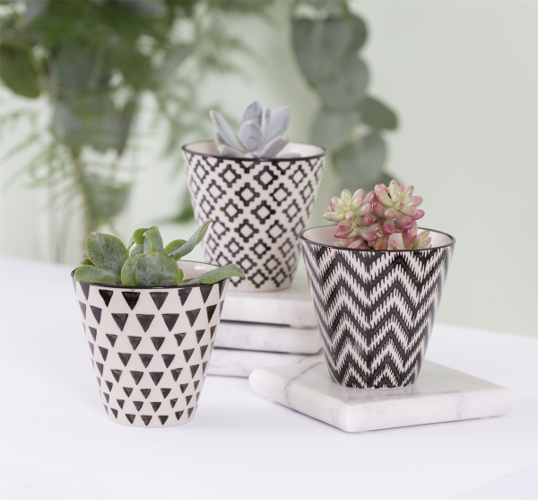 This set of 3 geo planters would look great in your home or office. Although they are designed for plants, we think they would look great to keep stationary or make up bits in.