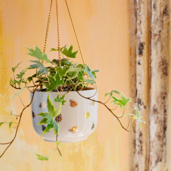 This bee-utiful hanging planter features our fabulous Queen Bee design in a gorgeous gold on a clean white base, plus a handy three-point hanging chain.